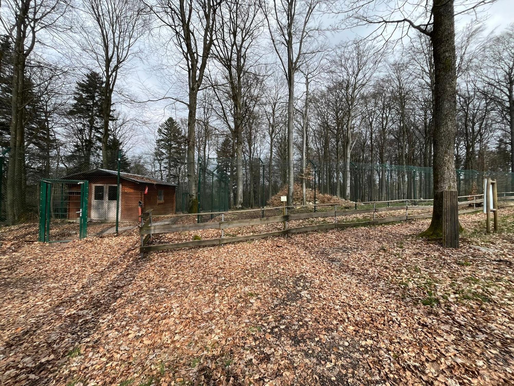 Hochwald Lodge Морбах Экстерьер фото